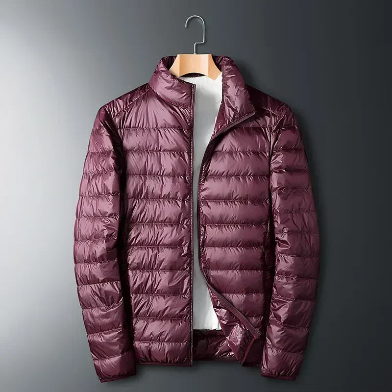 Men's Down Jacket – Regular Fit – Water-Repellent – Quilted – Hip-Length – High Collar