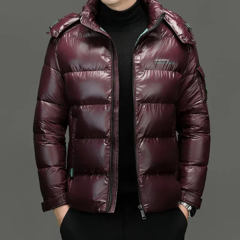 Men's Down Jacket – Water-Repellent Shine – Regular Fit – Quilted with Zipper and Stand Collar