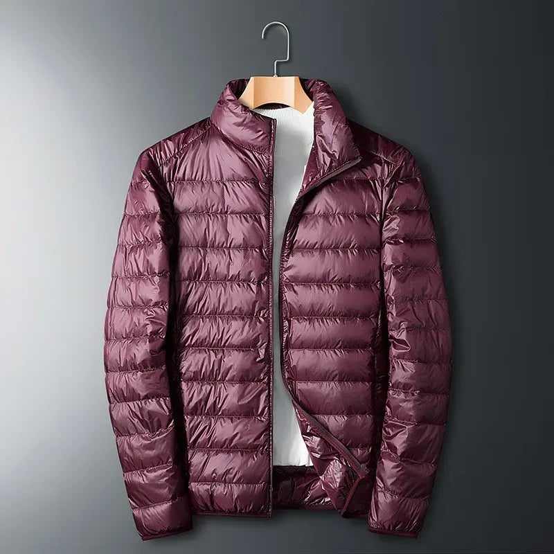 Men's Down Jacket – Regular Fit – Smooth Surface – Full Zipper – Stand Collar