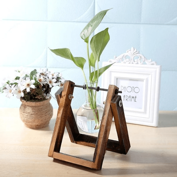 Minimalist Glass Hydroponic Plant Vase With Wooden Stand
