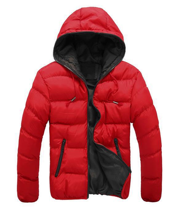 Men's Down Jacket – Regular Fit – Water-Repellent – Hood – Zipper Closure – Pockets