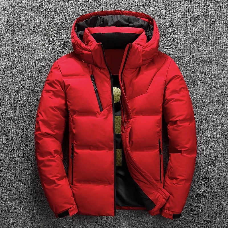 Men's Jacket – Regular Fit – Padded with Hood – Zipper – Zipper Pockets