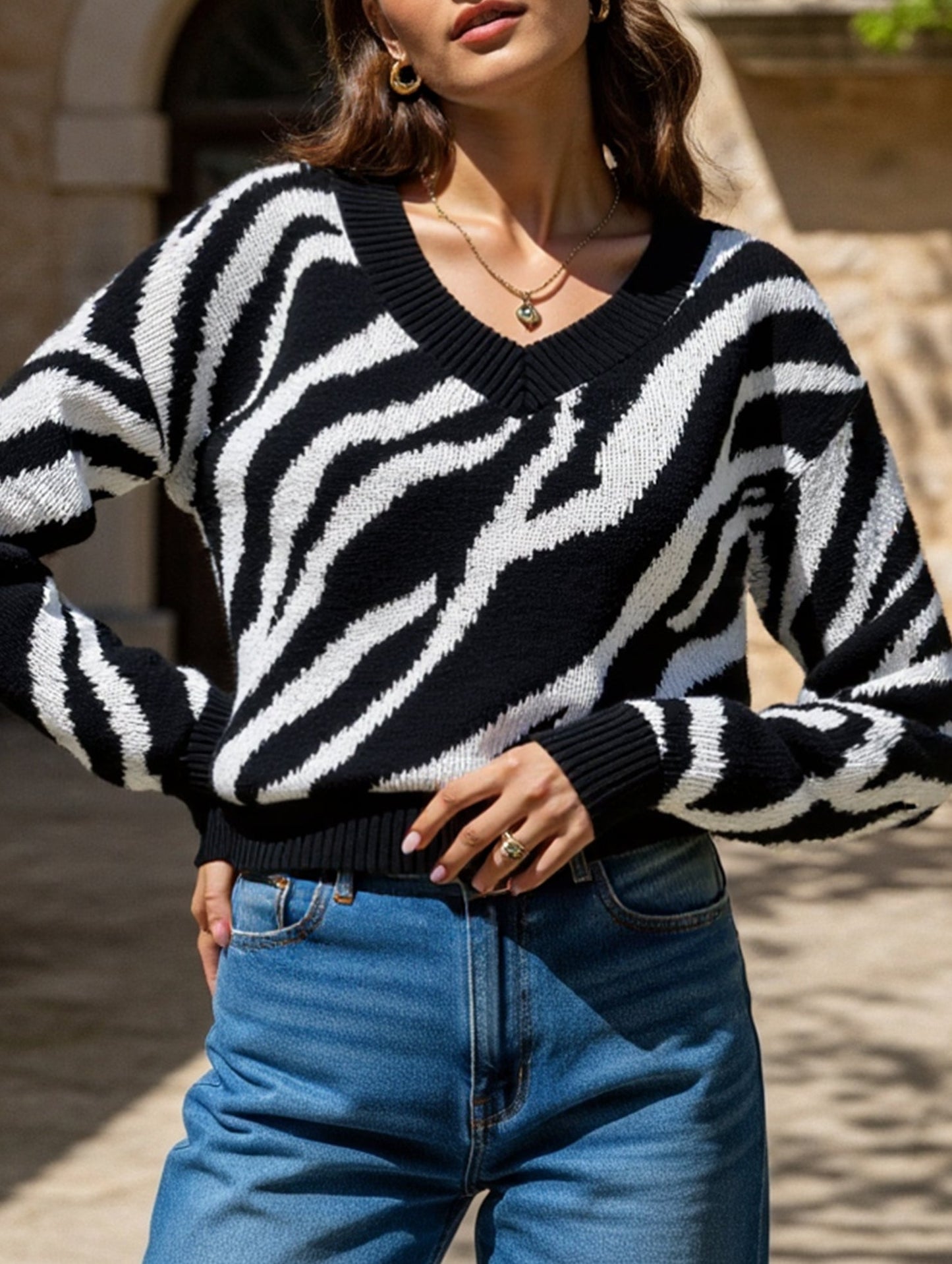 Teresa Cropped Sweater | V-Neck Zebra Print Sweater