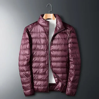 Men's Down Jacket – Regular Fit – Water-Repellent – Quilted – Hip-Length – High Collar