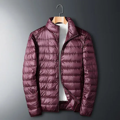Men's Down Jacket – Regular Fit – Smooth Surface – Full Zipper – Stand Collar