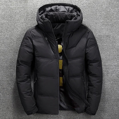 Men's Jacket – Regular Fit – Padded with Hood – Zipper – Zipper Pockets